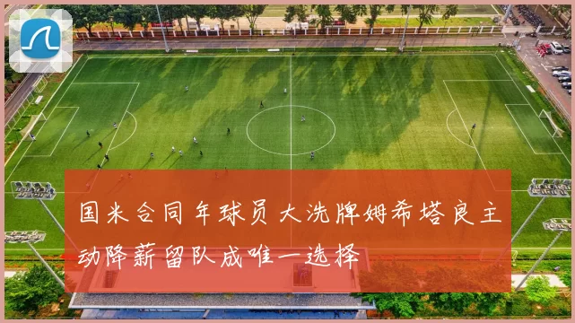 国米合同年球员大洗牌姆希塔良主动降薪留队成唯一选择